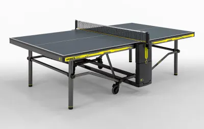 Table Tennis Table