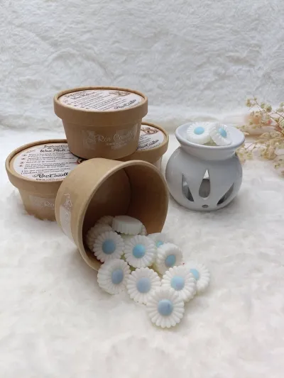 Wax Melts - Mystery Cotton