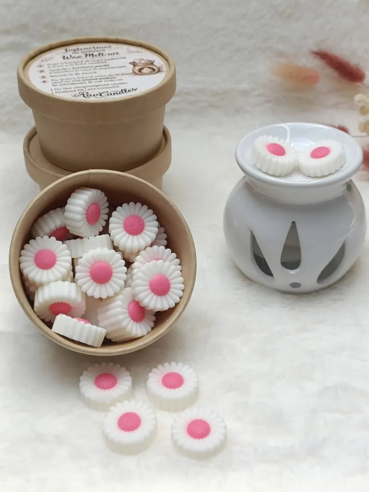 Wax Melts - Melon Kiss