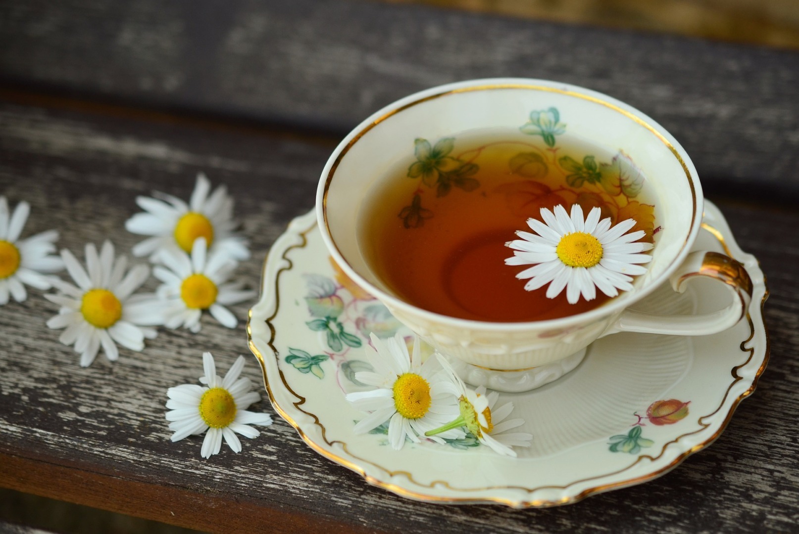 Daisy Tea